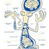flat750x075f pad750x1000f8f8f8.u2 26 - American Dad Merch